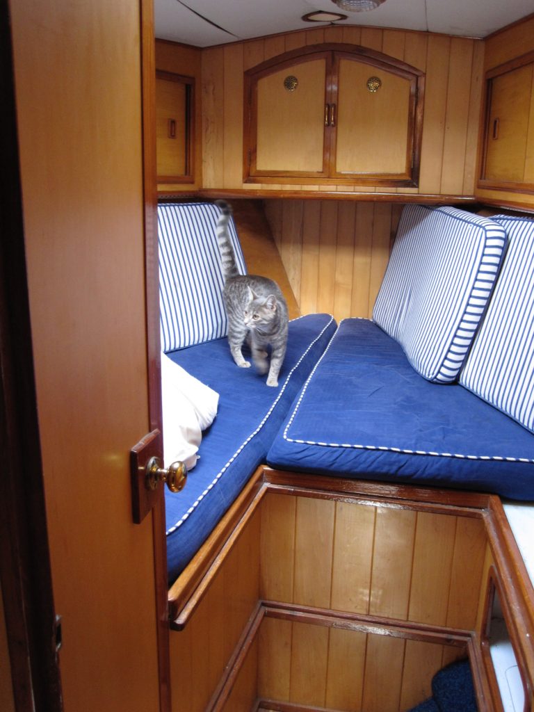 The forepeak back in 2011 (the cat was just visiting) with it's nautical theme - because boats really need that...